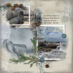 Cha Tiramisu designs