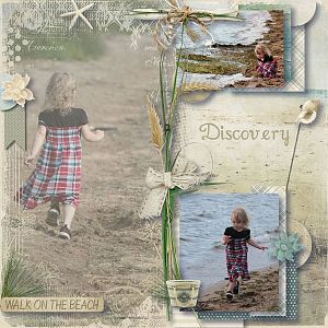 Discovery