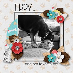 Tippys Toy