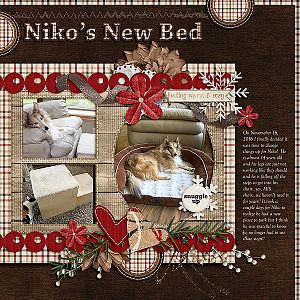 Niko's New Bed
