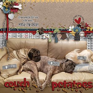 Couch Potatoes
