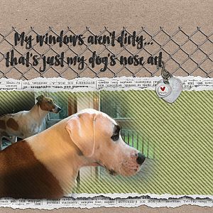 Created by Jill -Love is a four legged word