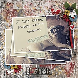 The Snorer