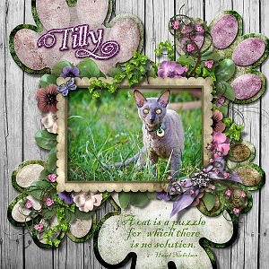 Tilly puzzle