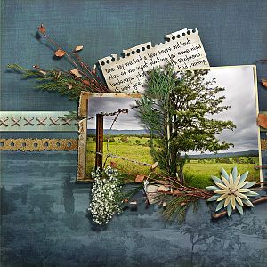 Landscapes page 1