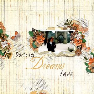 Don't Let Dreams Fade