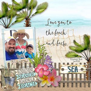 To The Beach And Back