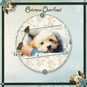 Use It All Challenge - Cuteness Overload
