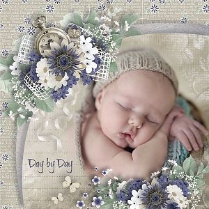 Day By Day