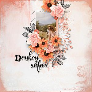 Donkey safari 1972