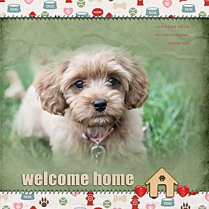 Welcome Home