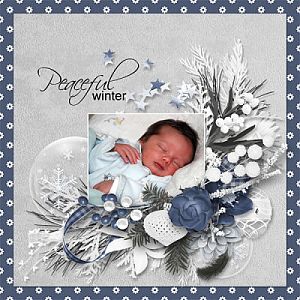 Peaceful winter