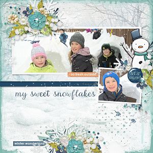 HSA-mysweetsnowflake-renee-01-600