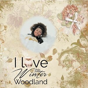 Winter Woodland-Booland designs