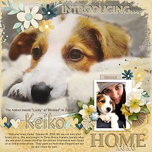 Introducing Keiko!