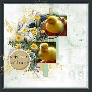 Spring