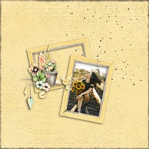 boho blooms