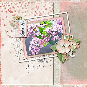 Sweet Spring UIA Challenge