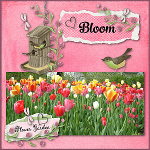 My Passion Gardening