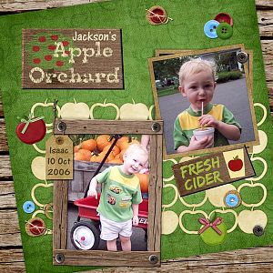 Apple Orchard