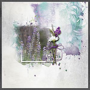 Lupine