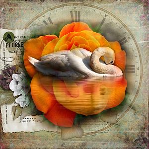 Blended Photos Challenge