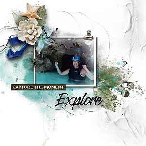 Explorer