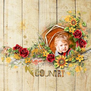 Summer In The Country
