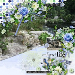 Embrace Life