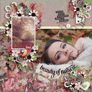 The Magic of Autumn