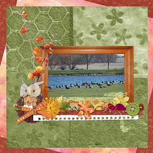 Booland Designs - Autumn Breeze - Barbara50 3