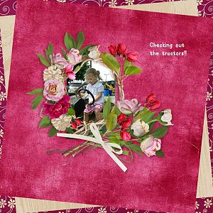 Booland Designs - MiniBoo 17 - Barbara50 1