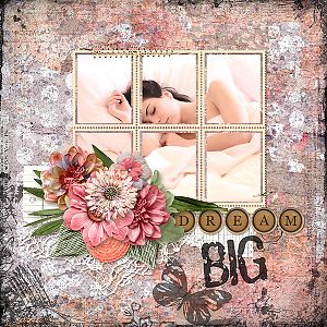 Dream Big