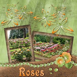 Roses