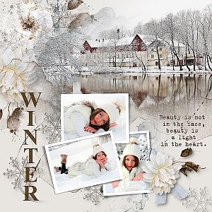 Winter - Cold Beauty