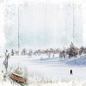 Winter  Wonderland