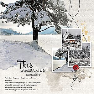 Twelve Days Of Christmas