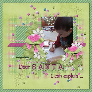 Dear SANTA I can explain ...