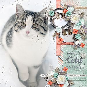 cold outside