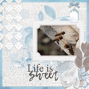 Life is Sweet
