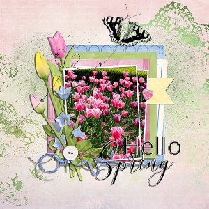 hello spring