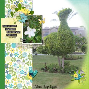 beautiful-nature.jpg