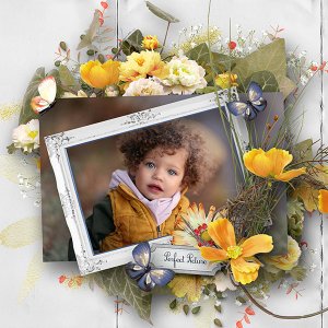 Simplette_page_RF_LetTheSeedGrow_RAKAndelman