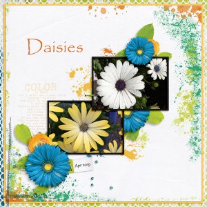 Daisies for June-UIA-challenge.jpg