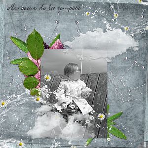 Au coeur de la tempte