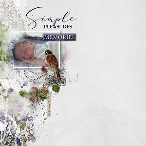 PBP-July-2019-Monthly-Challenge-Scraplift.jpg