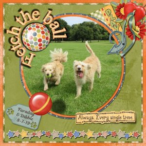 Fetch the ball
