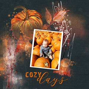 BE WarmDreams 2 Tirmisu copy.jpg