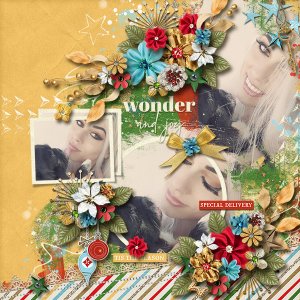Wonder-and-Joy.jpg