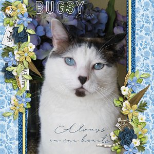 Bugsy-Always-in-Our-Hearts-HT-112619.jpg